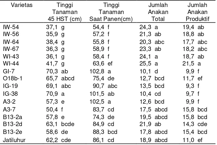 Tabel 5. Nilai rata-rata karakter agronomi galur-galur padi gogo hasil kulturantera dan varietas Jatiluhur di Babakan Bogor MK 2008.