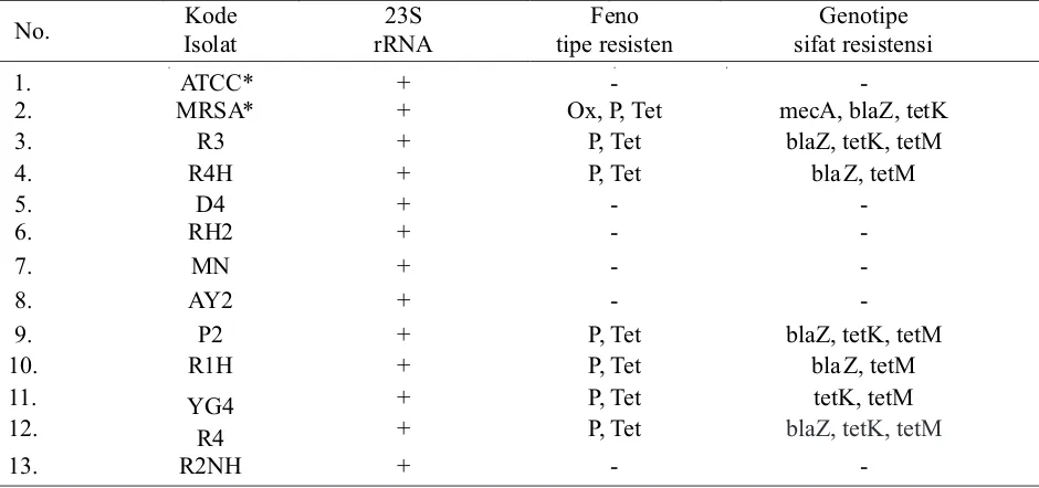 Tabel 2. Karakter fenotipik dan genotipik sifat resistensi isolat S. aureus