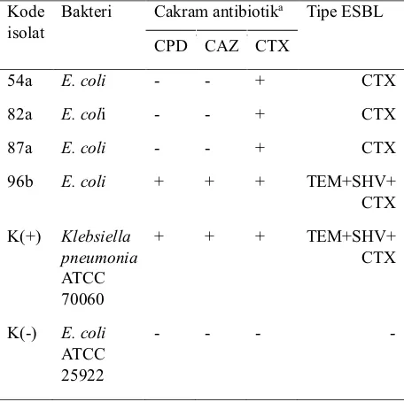Gambar 1. Isolat positif penghasil ESBL. (1) CPD (sefpodoksim 30 µg), (2) CAZ (seftazidim 30 µg), (3) AMC (amoksiklav 20+10 µg), (4) CTX (sefotaksim 30 µg).