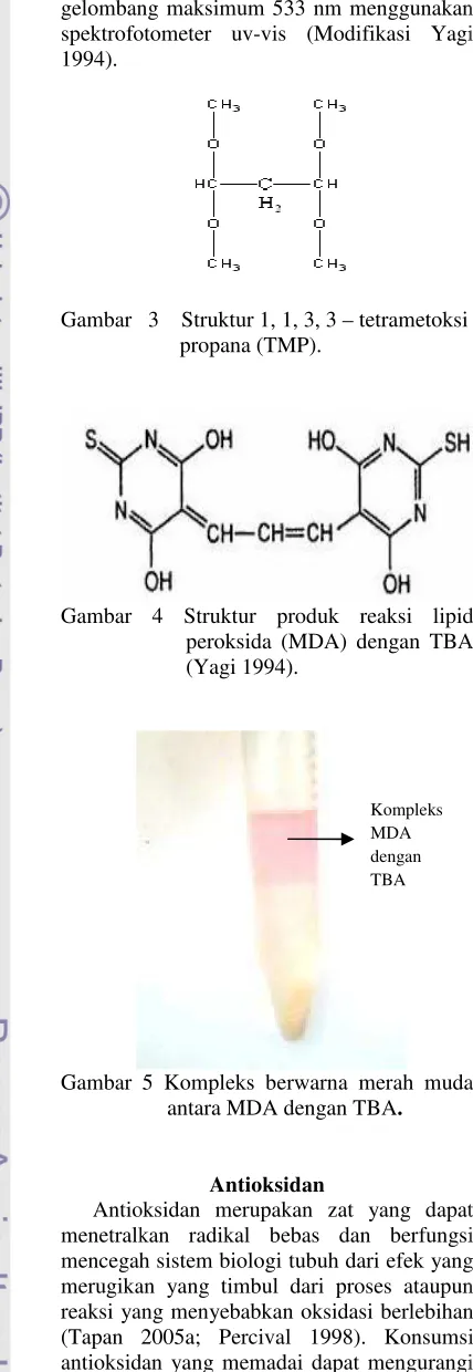 Gambar   r   3    Struktur 1, 1, 3, 3 – tetrametoksi 