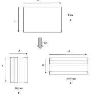 Gambar 4  Prinsip PCA (Brereton 2003). 