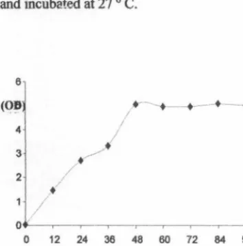 Fig 3. SEM showed the reaction product biosynthesis 