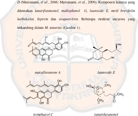 Gambar 1. Struktur senyawa yang terkandung dalam M. tanarius et al.et al., et al.,