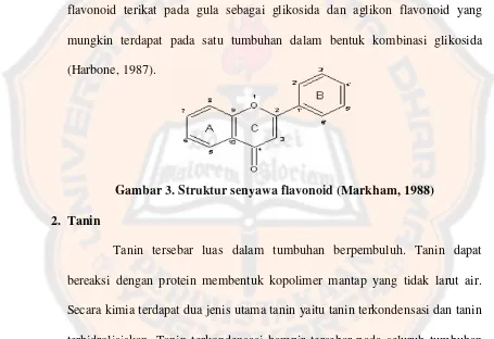 Gambar 3. Struktur senyawa flavonoid (Markham, 1988) 