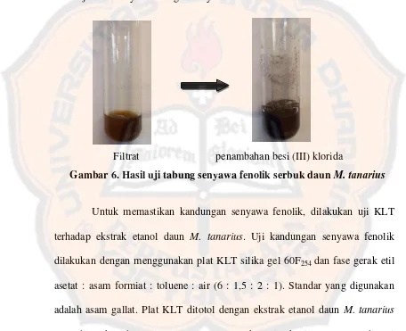 Gambar 6. Hasil uji tabung senyawa fenolik serbuk daun M. tanarius 