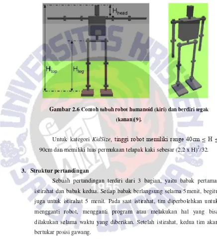 Gambar 2.6 Contoh tubuh robot humanoid (kiri) dan berdiri tegak 