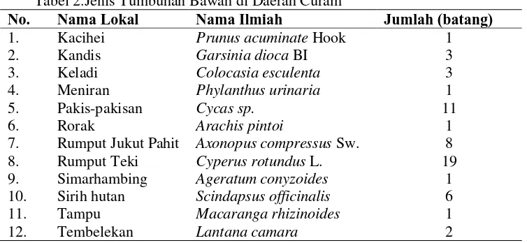 Tabel 2.Jenis Tumbuhan Bawah di Daerah Curam Nama Lokal Nama Ilmiah  