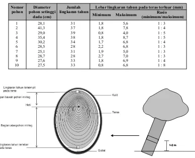 Tabel 1. Deskripsi sampel 10 pohon jati eksentris dari kegiatan penjarangan
