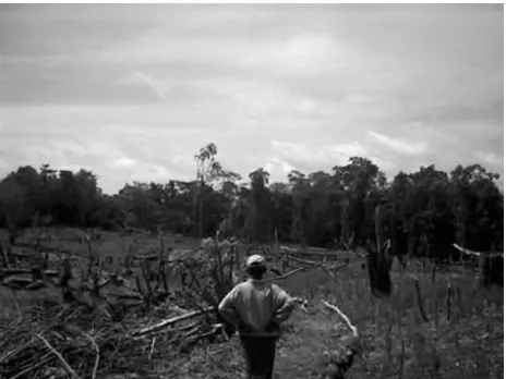 Gambar 2. Areal rambahan Taman Nasional Bukit                 Barisan  Selatan untuk ditanami padi huma