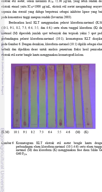 Gambar 6 Kromatogram KLT ekstrak etil asetat bengle hantu dengan 