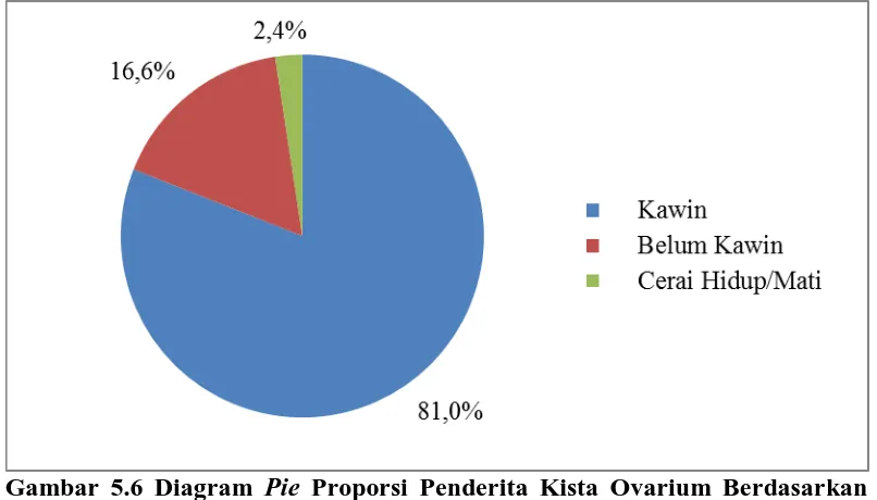 Gambar 5.6 Diagram Pie Proporsi Penderita Kista Ovarium Berdasarkan Status Perkawinan Yang Dirawat Inap di Rumah Sakit Haji Medan Tahun 2014-2015   