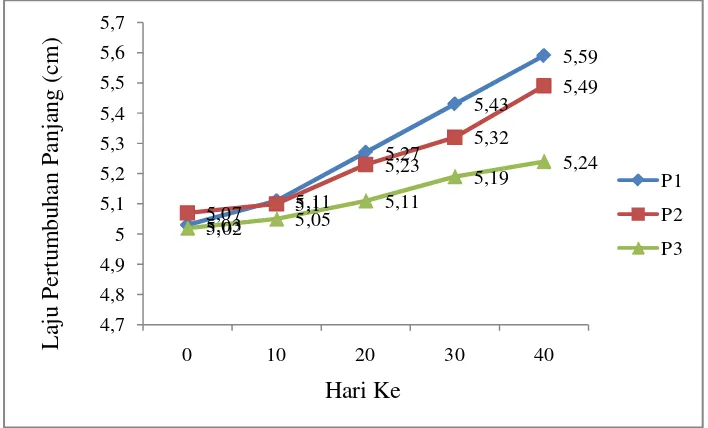 Gambar 5. Grafik Pertumbuhan Panjang (Cm) Ikan Redfin yang Dipelihara Pada   Setiap  Perlakuan Selama 40 Hari 