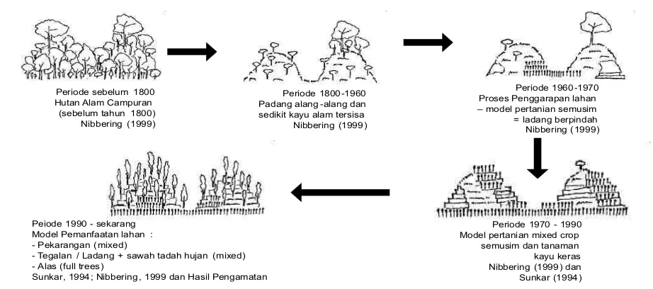 Gambar 9. Gambaran sket horizontal transisi lahan yang terjadi di Kabupaten Gunung Kidul (sumber modifikasi dari : Nibbering (1999), Sunkar (1994) dan hasil pengamatan)