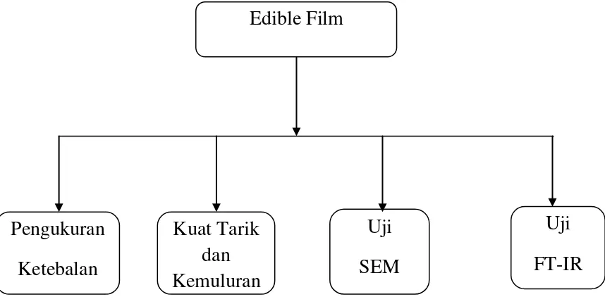 Tabel 3.1  Perbandingan berat sampel dalam pembuatan Edible Film 