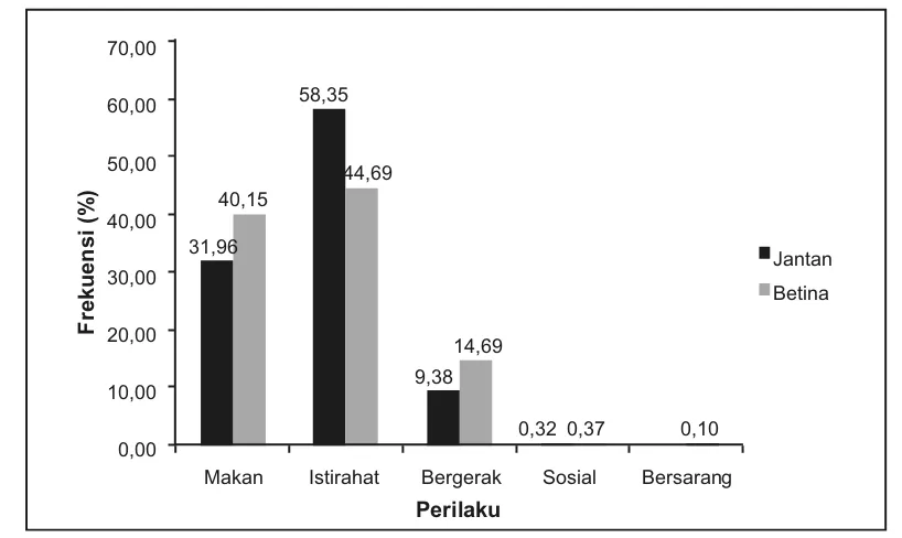 Gambar 4. Persentase Frekuensi rata-rata perilaku harian orangutan rehabilitan berdasarkan jenis kelamin.