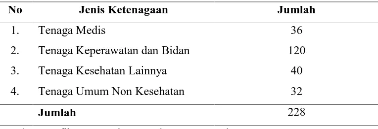 Tabel 4.1 Komposisi Jenis Ketenagaan RSUD Dokter Tengku MansyurTahun 2016