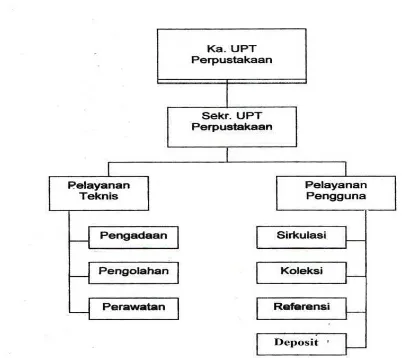 Gambar 1 Struktur Organisasi Perpustakaan Politeknik Negeri Medan