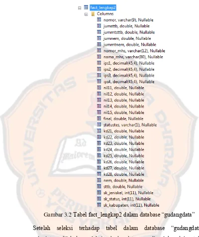 Gambar 3.2 Tabel fact_lengkap2 dalam database “gudangdata” 