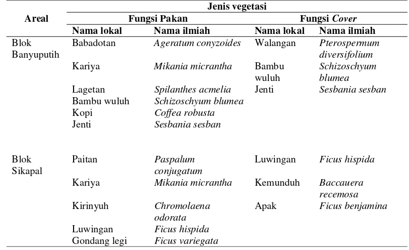 Tabel 7 disajikan vegetasi yang berfungsi cover dan pakan bagi banteng di hutan 