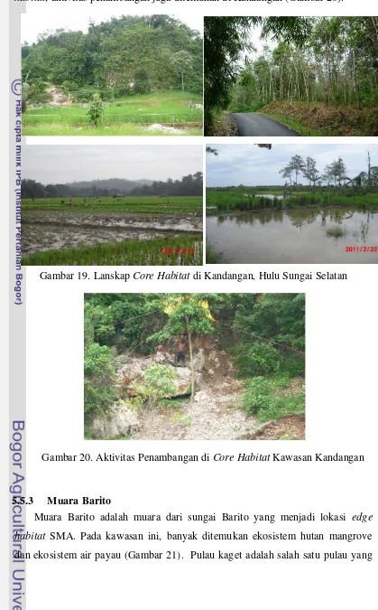 Gambar 20. Aktivitas Penambangan di Core Habitat Kawasan Kandangan 