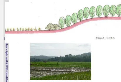 Gambar 23. Sketsa dan Foto Lanskap Core Habitat SMA : Kombinasi Lahan 