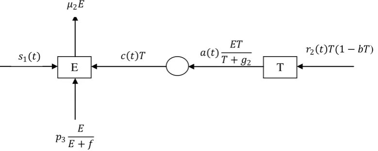 Gambar 9. Diagram Transfer Model Terapi Gen 