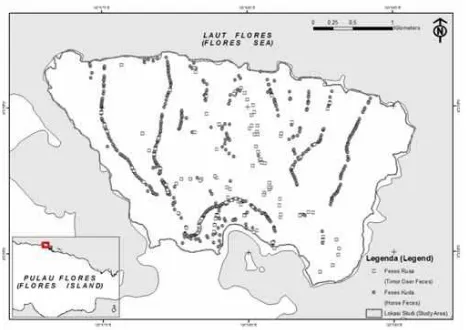 Gambar 3. Peta sebaran feses rusa timor dan ternak kuda di kawasan Tanjung Torong Padang
