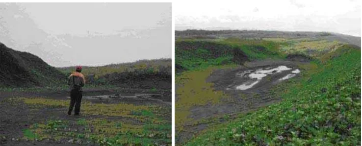 Gambar 9. Gambar lahan bekas tambang pasir besi di Kutoarjo 