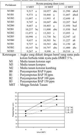 Tabel  3.  Rerata Panjang Daun (cm) perlakuan kombinasi jenis media tanam dan konsentrasi BAP 