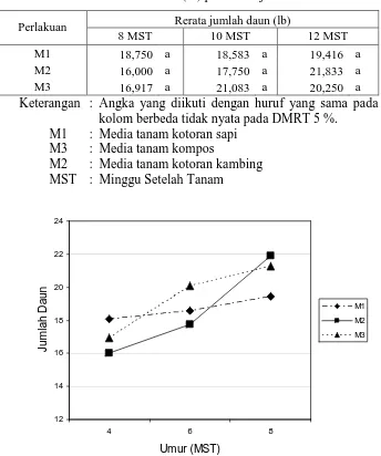 Tabel  4. Rerata Jumlah Daun (lb) perlakuan jenis media tanam 