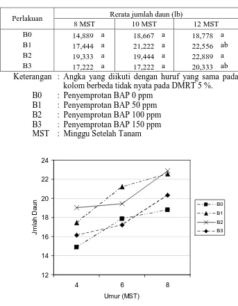 Tabel  5. Rerata Jumlah Daun (lb) perlakuan konsentrasi BAP 