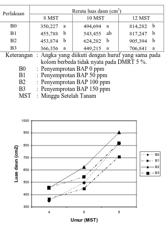 Tabel  7. Rerata Luas Daun (cm2) perlakuan konsentrasi BAP 