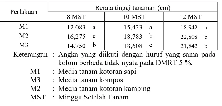 Tabel  8. Rerata Tinggi Tanaman (cm) perlakuan jenis media tanam 