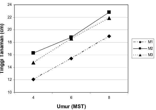 Gambar 8.  Grafik Tinggi Tanaman pada perlakuan Jenis Media Tanam  