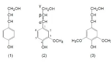 Gambar 3.Struktur Lignin  