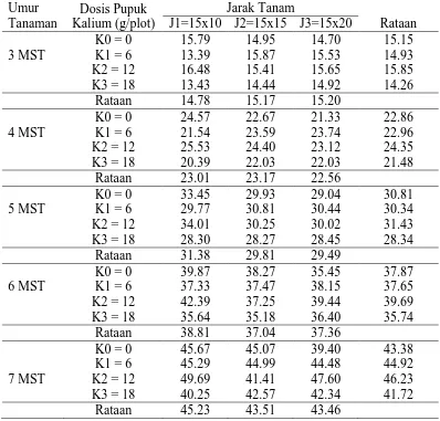 Tabel 1. Panjang tanaman (cm) bengkuangpada beberapa dosis kaliumdan jarak tanam umur 7MST 