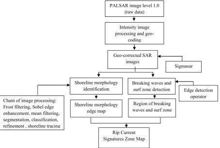 Figure 4. Shoreline morphology extraction procedure 