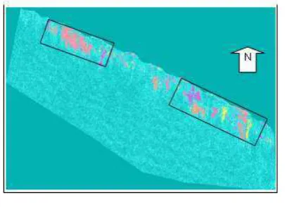 Figure 10. Image acquired on 2nd May  