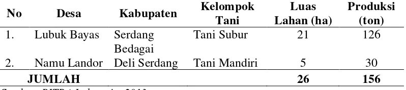 Tabel 3. Luas Lahan dan Produksi Padi Organik Binaan BITRA di   Provinsi Sumatera Utara, 2013