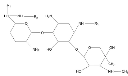 Gambar 1. Struktur Gentamycin 