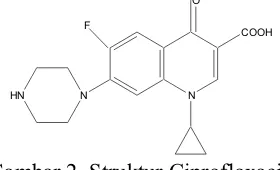 Gambar 2. Struktur Ciprofloxacin 