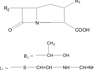 Gambar 3. Struktur Oxacillin 