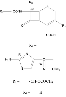 Gambar 5. Struktur Cefotaxim 