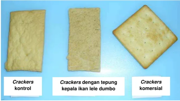 Gambar 7. Produk Crackers yang diteliti  