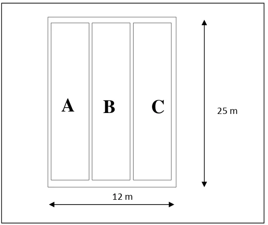 Tabel 4. Dosis pemberian pupuk pada lahan A dan B 
