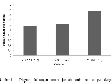 Gambar 1.  Diagram hubungan antara jumlah umbi per sampel dengan  perlakuan varietas 