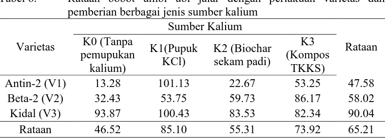 Tabel 6. Rataan bobot umbi ubi jalar dengan perlakuan varietas dan pemberian berbagai jenis sumber kalium 