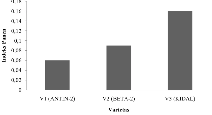 Gambar 3.  Diagram hubungan antara indeks panen dengan perlakuan varietas  