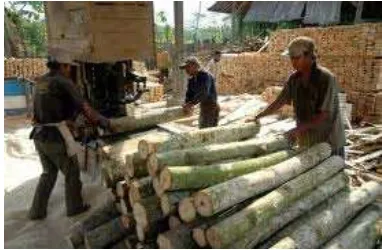 Gambar 3  Dolok kayu sengon yang sedang mengalami proses pengolahan (Anonim, 2010f). 