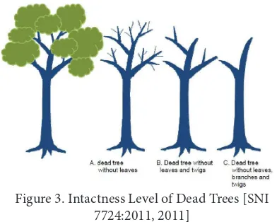 Figure 3. Intactness Level of Dead Trees [SNI 
